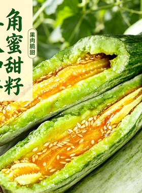 羊角蜜甜瓜种子高产新鲜羊角酥香瓜甜瓜种子羊角甜瓜四季种子大全