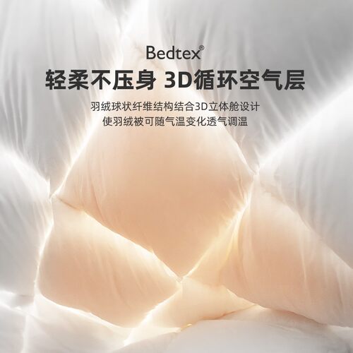 Bedtex防螨羽绒被95白鹅绒被加厚冬被春秋被酒店单人被子被芯冬季