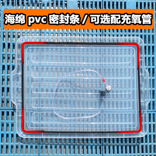 后备箱运输大号活鱼箱长方形收纳装鱼箱密封防漏水可连氧泵钓鱼桶