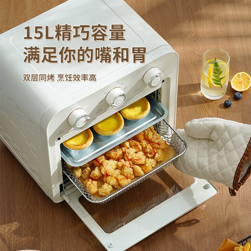 电烤箱家用2024新款小型烘焙专用10升迷你空气炸烤箱15一体全自动