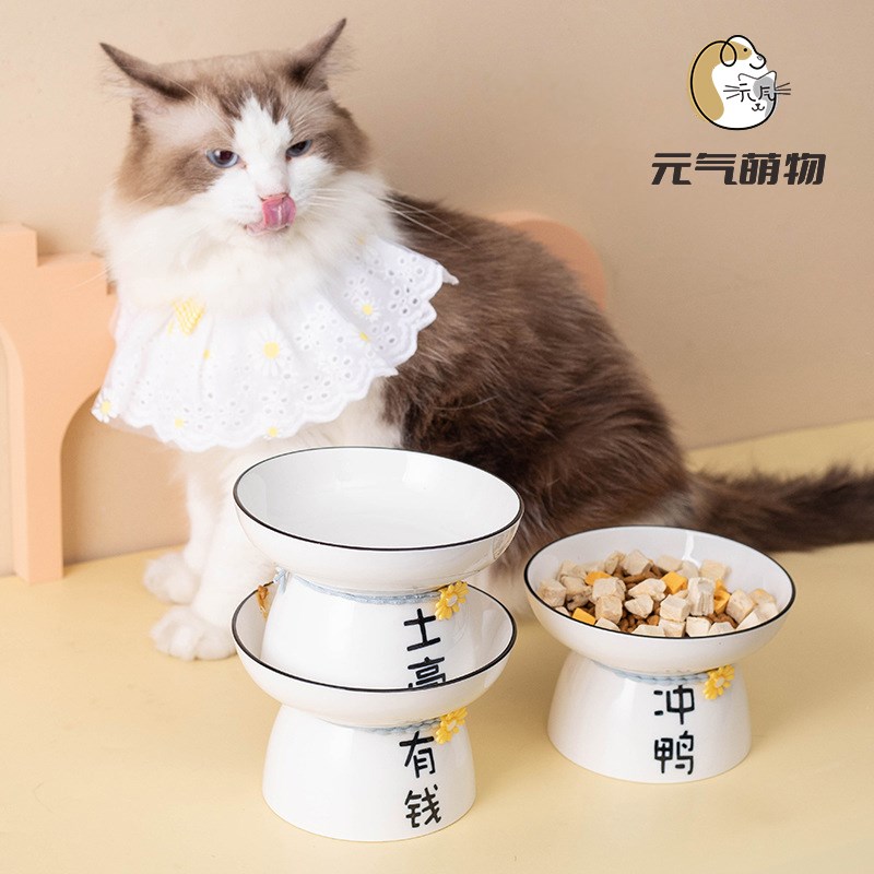 陶瓷猫碗狗碗宠物碗创意文字斜口高脚保护颈椎拒黑下巴猫咪狗食盆