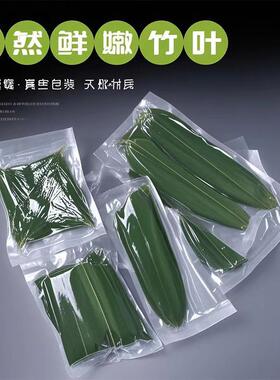 新鲜小竹叶摆盘粽叶装饰刺身摆盘叶子酒店摆盘装饰花草日料寿司