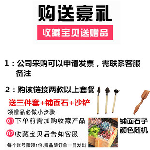多肉植物組合盆栽套餐diy微景觀擺件幼兒園兒童禮盒室內小肉肉