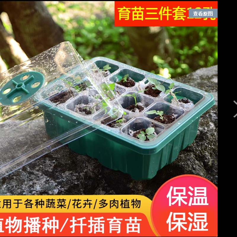 多肉叶插育苗箱三件套培养播种盒保湿温育苗盘12孔塑料育苗盒盖