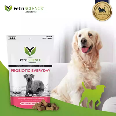 【效期 2026/2/1】VetriScience 宠大师 益生菌 犬用 45片/袋