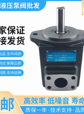 DENISON丹尼逊T67B B04 1R02 A1M0 VC00叶片泵T6C/T6E 017 3L00 B