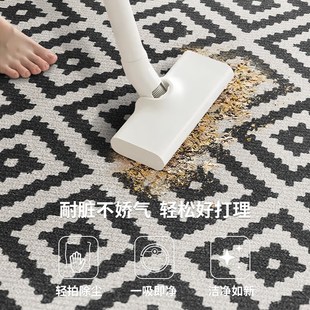 高级轻奢沙发茶几毯卧室房间榻榻米床边地垫 家用客厅地毯2025新款