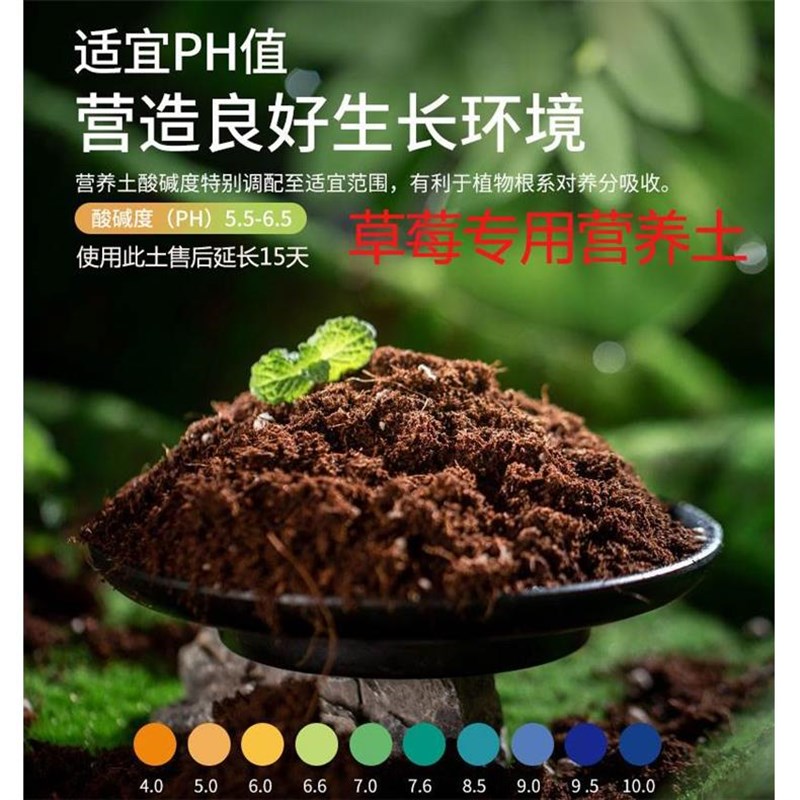 草莓专用营养土通用型育苗土盆栽花卉月季种植土基质土草莓肥料