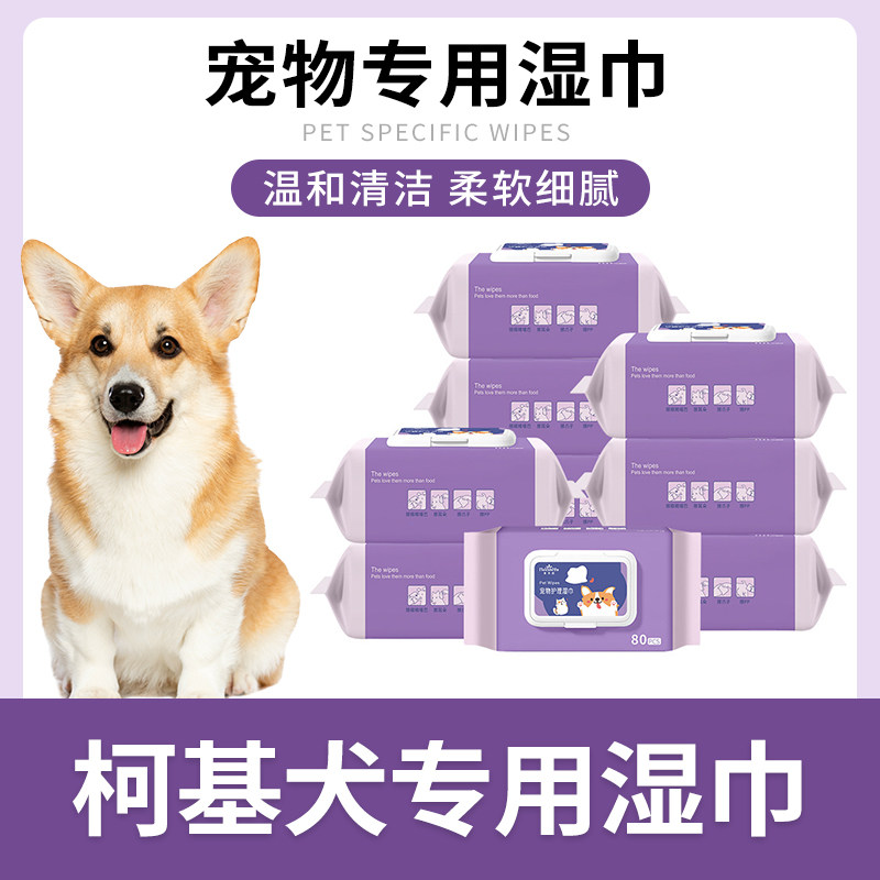 柯基犬专用湿巾纸宠物狗狗湿纸巾擦眼屎面部屁屁脚清洁免洗用品