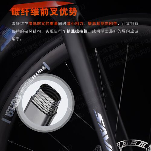 SAVA萨瓦公路车EX7-PLUS碳纤维前叉 R7000变速油压碟刹竞赛自行车