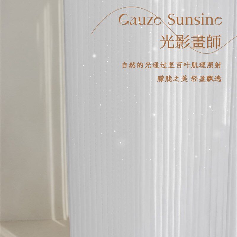 网红竖百叶纱g帘白纱窗帘雪纺纱卧室飘窗透光不透人白色窗纱梦幻