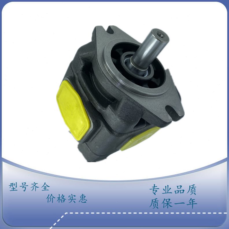 /16克海1PC0内啮合特-0-105 注塑HGR12-/V伺服齿轮泵2油泵 80机0/