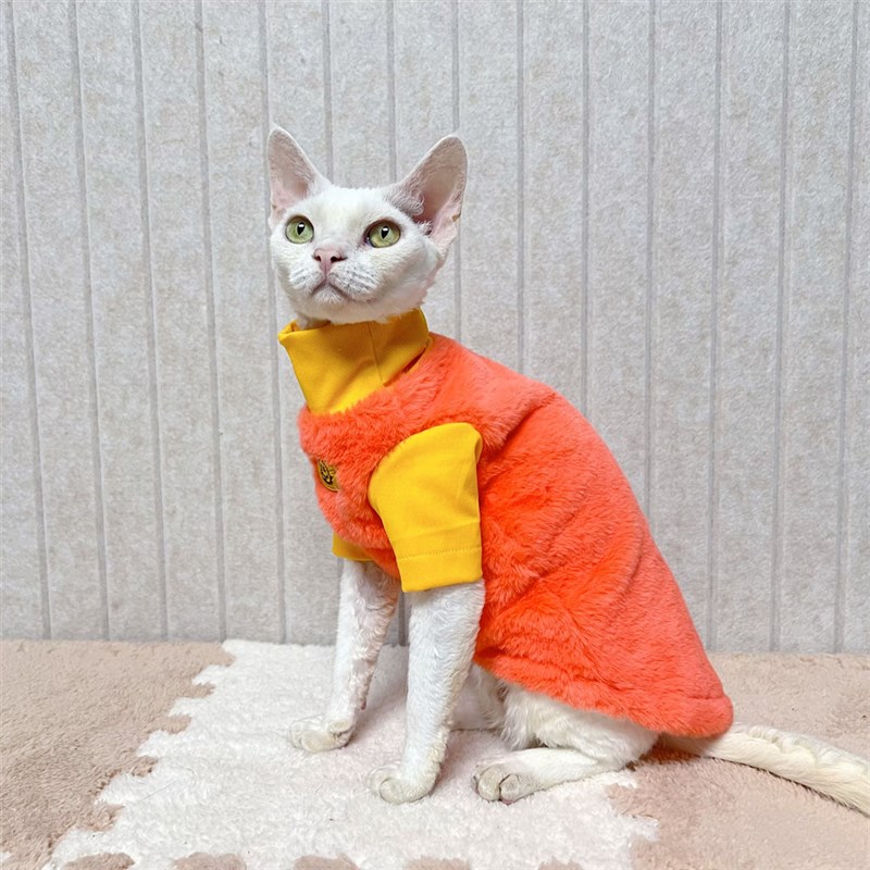 秋冬季加厚保暖无毛猫衣服德文斯芬克斯宠物纯棉衣服加绒兔毛高领