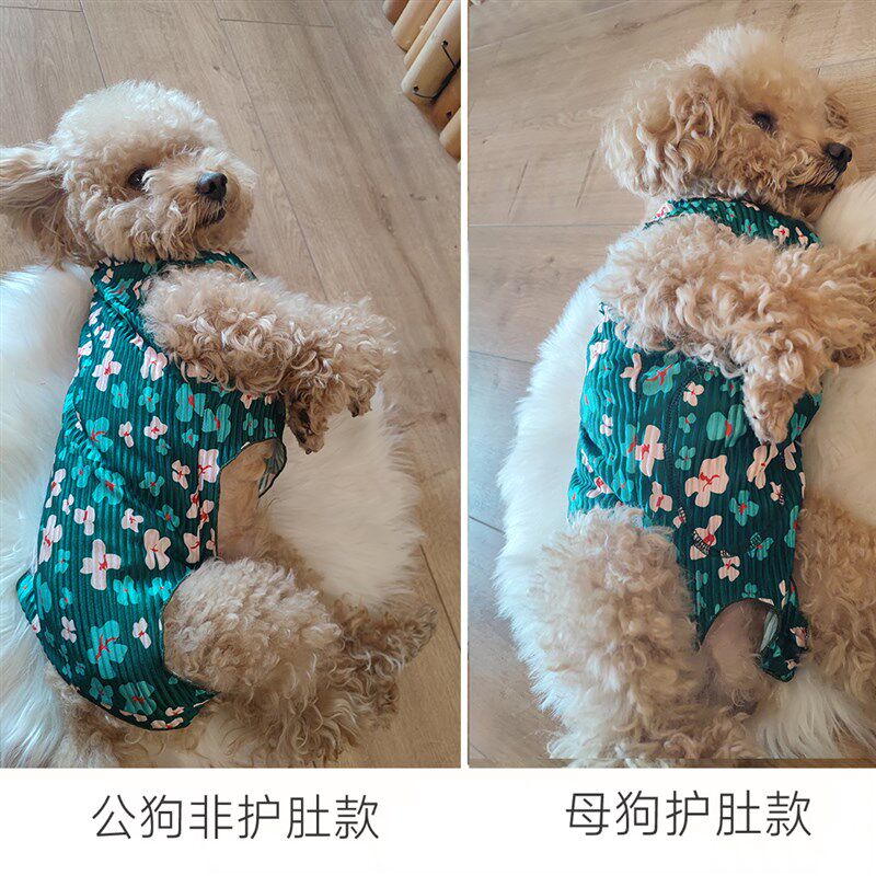 泰旺狗狗透气冰丝压褶面料降温防晒防尘绝育防舔包肚背心薄