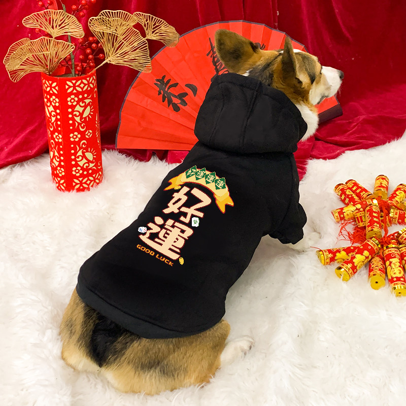 柯基犬狗狗新年衣服兔年喜庆秋冬款中型小型犬冬季宠物拜年服冬装