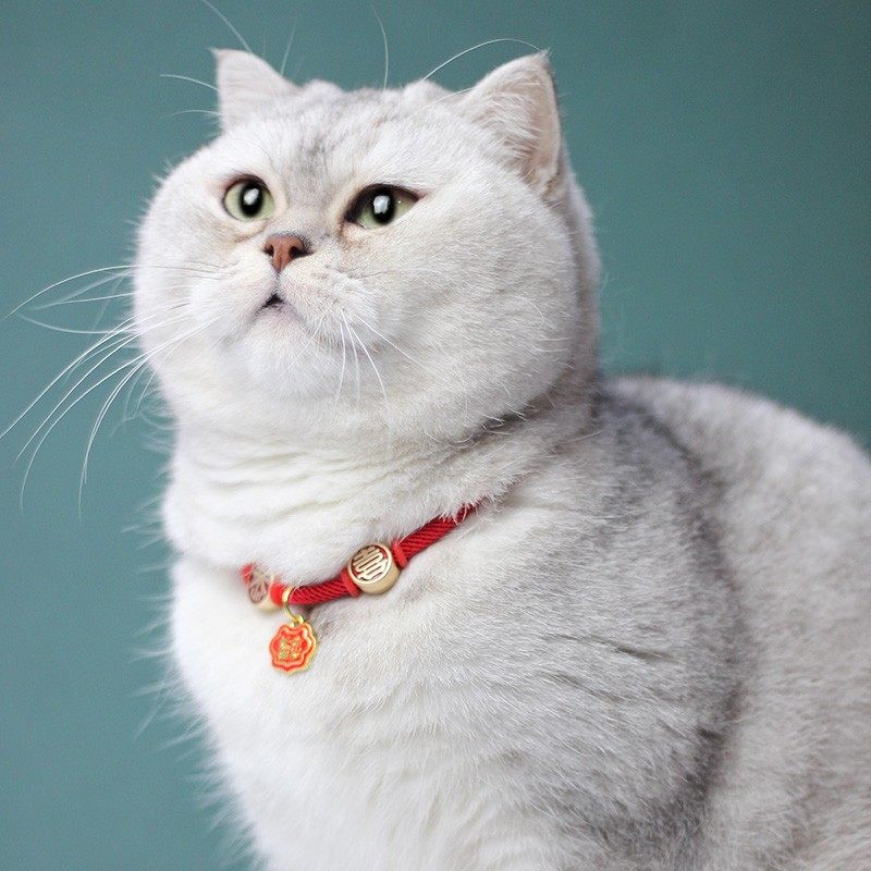 猫咪项圈宠物可调节幼猫用品围脖国潮红绳可爱的装饰狗狗脖子项链