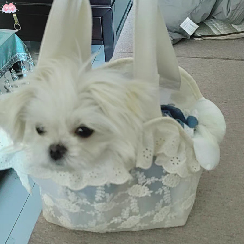 马尔济斯专用外出包小体狗狗夏季手提单肩背包小型犬幼犬出门