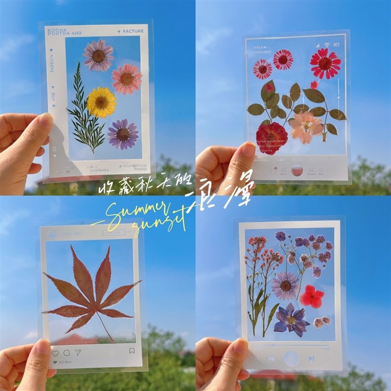 相框系列DIY自制书签可保存相片小学生手工自制手工书Z签植物压花
