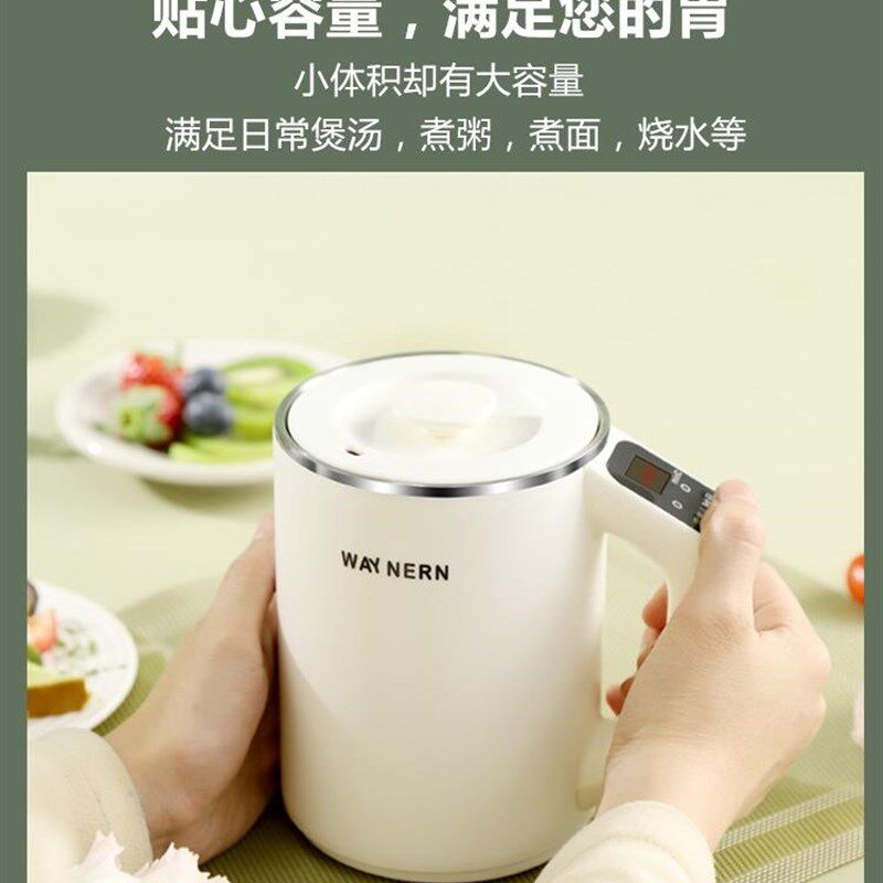 宿舍烧水壶小功率300w瓦保温加热多功能低功率Q电热水壶电炖养生