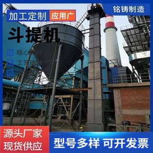 提升機(jī)非標(biāo)耐酸鏈條糧食斗式 混合卸料斗式 提升機(jī)