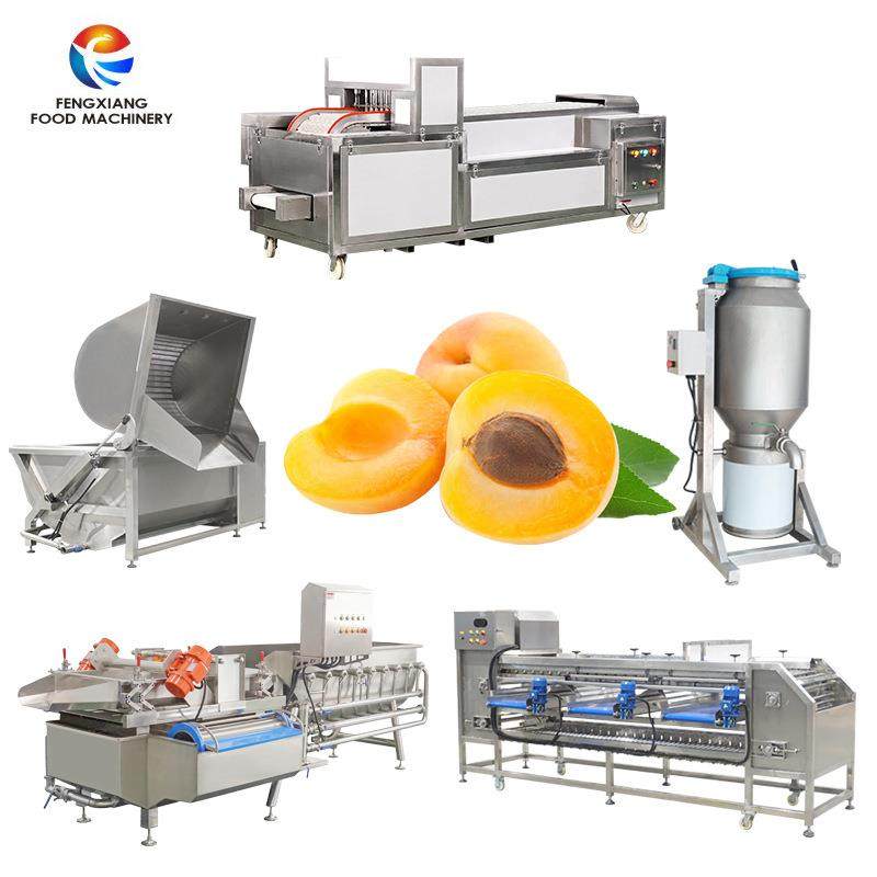 工厂直销杏子李子樱桃水果分级机清洗去核果浆加工设备,厨房电器,其他商用厨电,淘宝优惠券,粉丝福利购,淘宝优惠卷