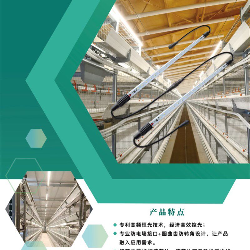 养殖低压48V伏可调光led灯管鸡鸭舍家禽养殖场专用照明灯养殖灯带
