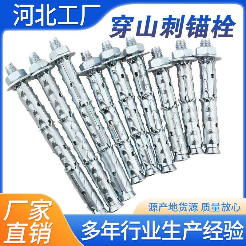 穿山刺膨胀螺丝切块砖泡沫轻体砖专用膨胀螺栓Q鱼鳞拉爆加气块倒