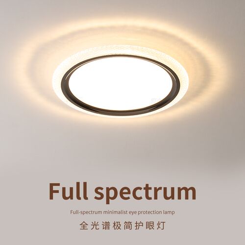 全光谱意b式极简卧室灯现代轻奢高级感房间护眼吸顶灯