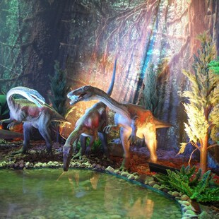 大型霸王龙模型硅胶软体可动可叫逼真恐龙室外摆件恐龙乐园厂家