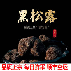 2025年新鲜黑松露四川特产野生菌松露野山菌菇煲汤养生食材送礼