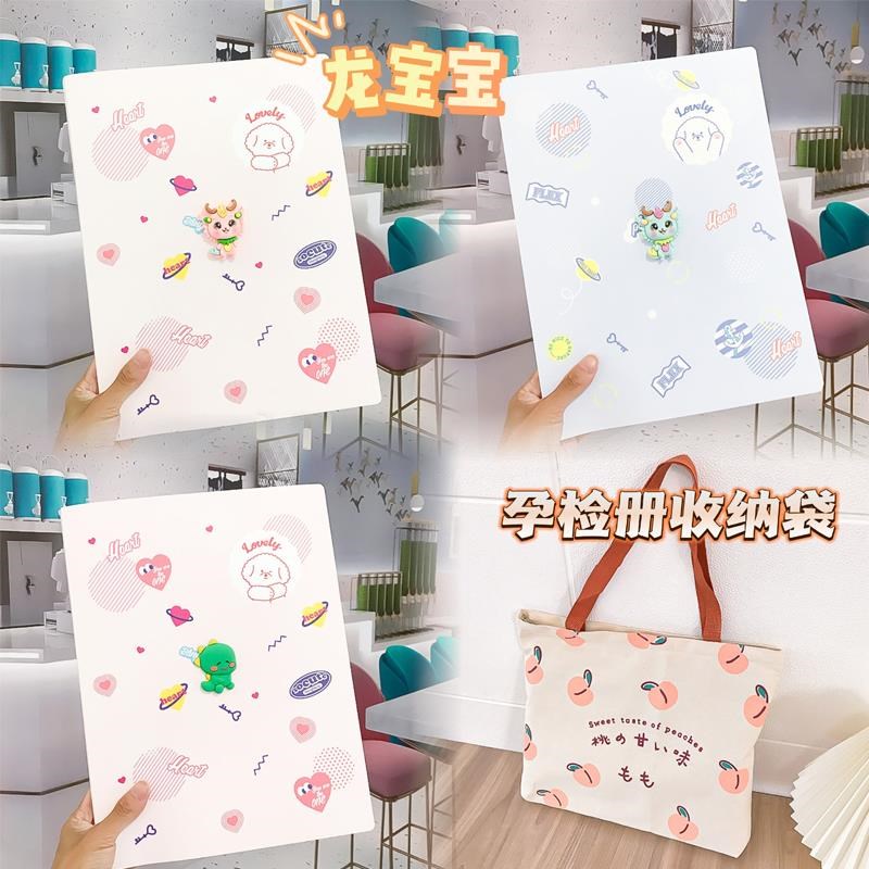 龙宝宝孕检收纳册孕期档案册资料包a4a5文件夹孕妈妈产检收纳单子