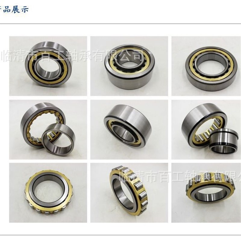 BGBG满滚子轴承SL04 NNF 5012 501 3 4 5 PP ADA-2LS圆柱滚子轴承