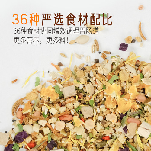 仓鼠粮食营养主粮金丝熊专用食物冻干小仓鼠自配饲料套餐零食用品