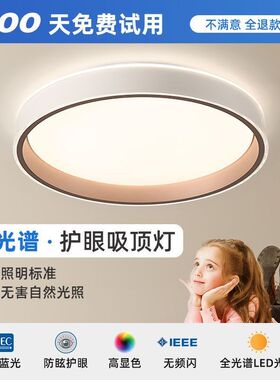 广东中山LEeD吸顶灯卧室灯客厅灯简约现代大气节能圆极简阳台灯具