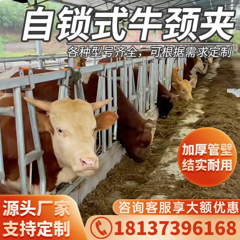 牛颈枷牛a颈夹自锁式单开双开活动位加厚热镀锌养牛厂奶牛防疫用