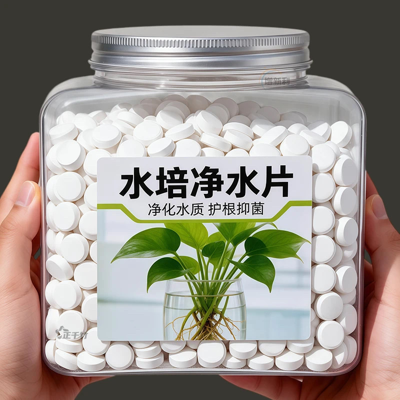 水培植物净水片除臭杀菌消毒鲜花花卉保鲜剂碗莲除藻专用净化水质