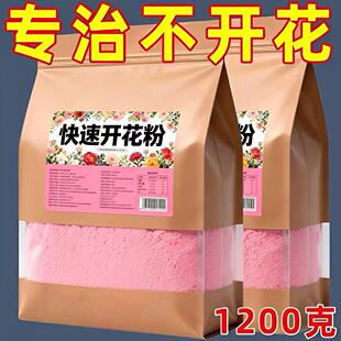 三角梅快速开花粉园艺盆栽通用型速效开花素月季茶花开花家用肥料