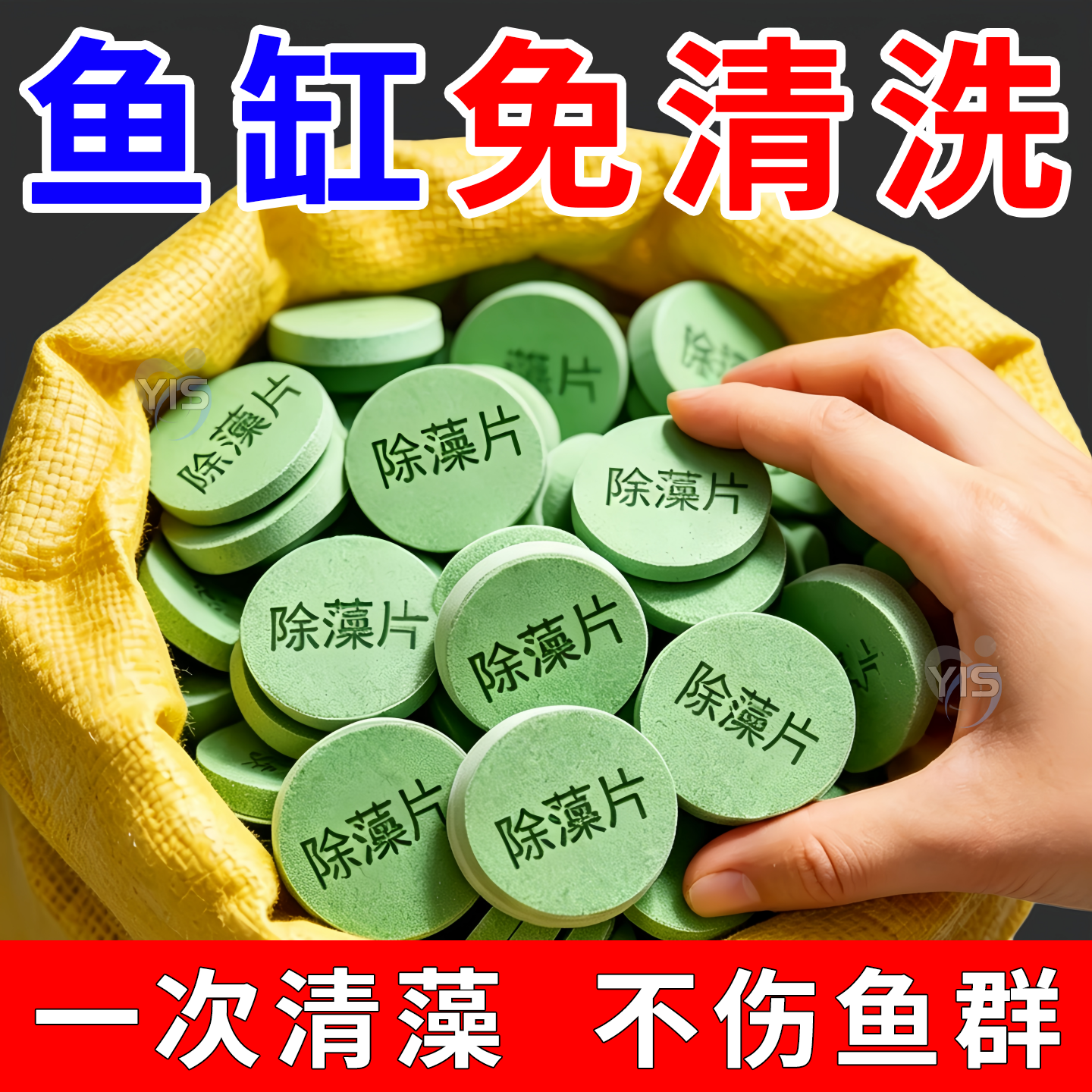 鱼缸除藻片绿藻青苔净水神器