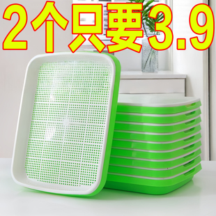 育苗盘芽苗盘菜阳台种菜盆水培蔬菜豆芽无土小麦蒜苗种植盘育苗盆