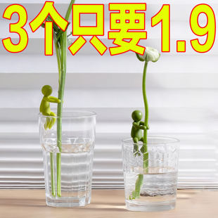 新款 饰固定造型防倒植物支撑架 水培植物生长伴侣防倒伏扶枝桌面装