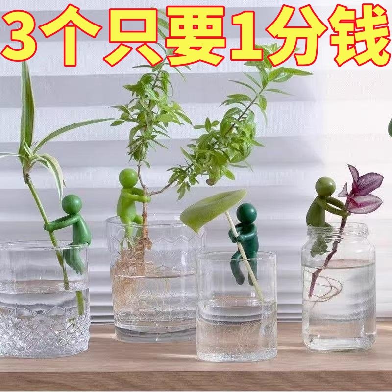 水培植物固定神器生长造型防倒伴侣扶正扶枝办公桌装饰园艺固定器,宠物/宠物食品及用品,造景/装饰,淘宝优惠券,粉丝福利购,淘宝优惠卷