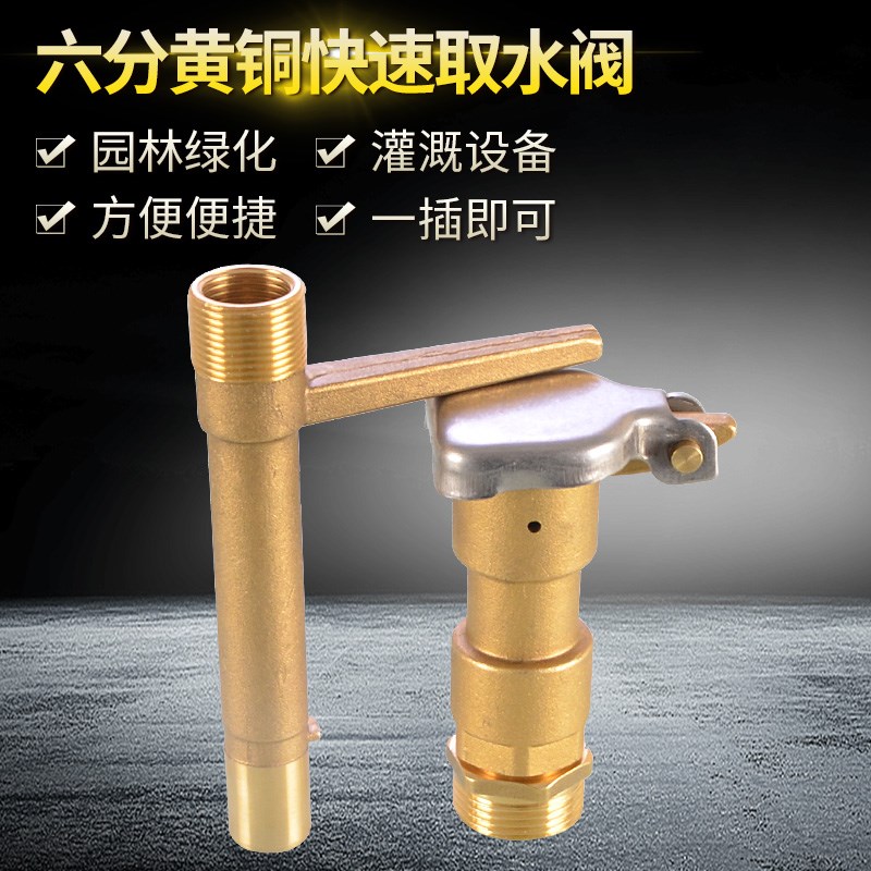 4/6分1寸内外丝黄铜快速取水阀取水器园林绿化地草Y坪灌溉洒水栓
