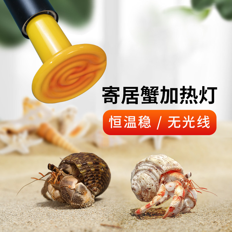 寄居蟹陶瓷加热灯保温灯宠物爬宠暖灯加温器迷你取暖灯爬虫恒温箱