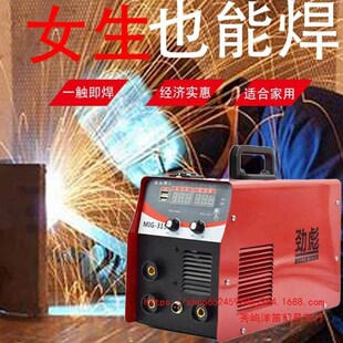 无气焊机二保焊一体电焊机家用小型B220v二氧化碳保护两用三四用