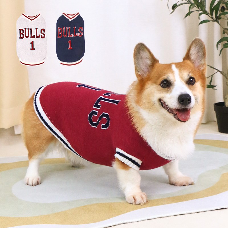 宠物狗狗秋冬衣服毛衣背心保暖泰迪柯基冬季小型犬中型犬2024新款