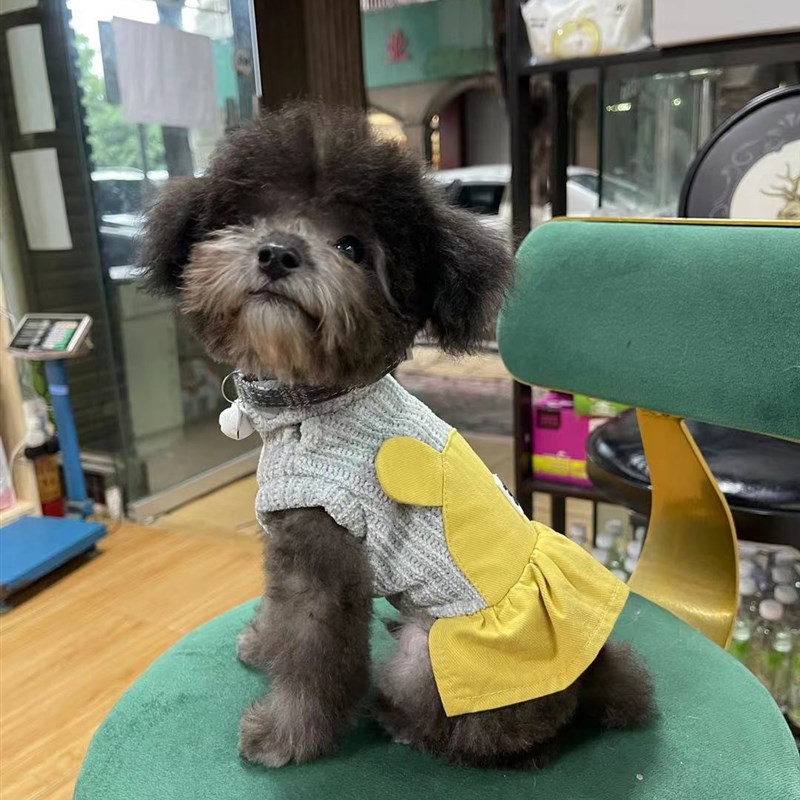 爱萌新款宠物衣服幼犬幼猫咪衣茶杯犬泰迪冬裙小奶狗泰迪两脚