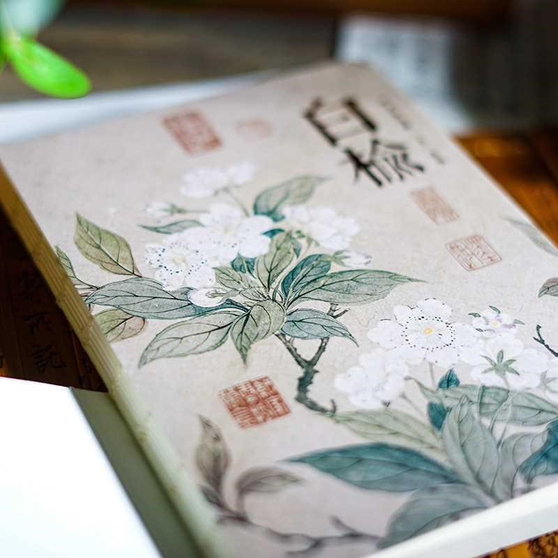 全白纸裸装手帐本空白内页笔记本植物主题记N事本旅行盖章本礼品