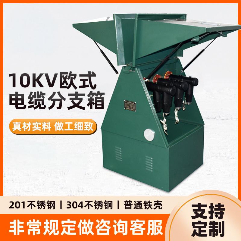10kv-35KV户外高压电缆分支箱一进二三四五六出欧式不锈钢对接箱