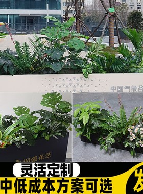 墙角室内造景地台店内装饰室外假植物绿色的禄植盆栽仿真绿植花箱
