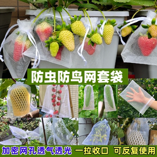 草莓套袋网兜丝黄苦瓜套袋防虫网袋水果葡萄番茄枇杷瓜果保护袋子
